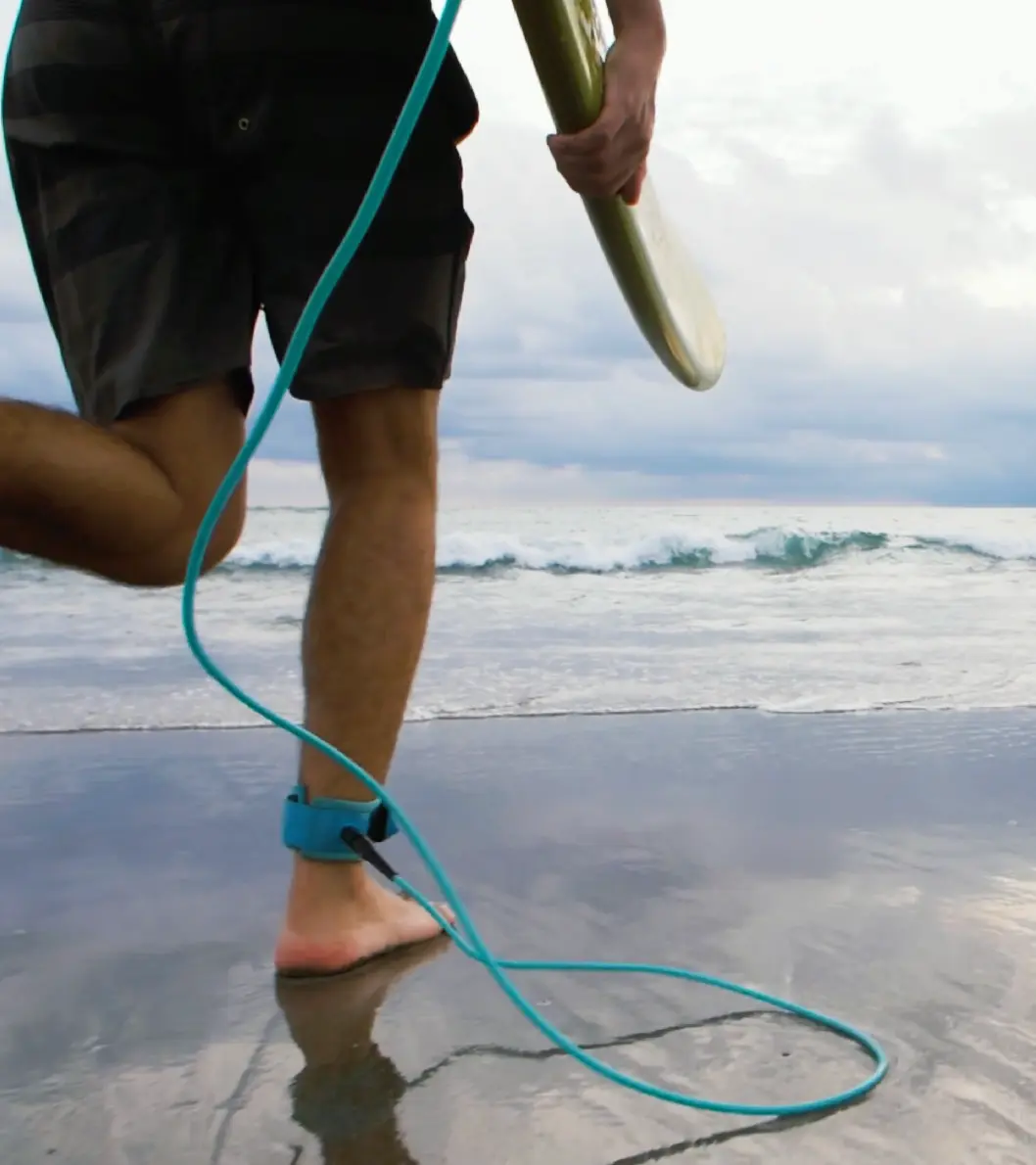 High accessibility of nutrients High accessibility of nutrients